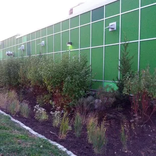 Seward Coop&apos;s Raingarden