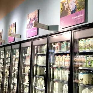 a display of dairy products
