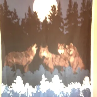 Wolves fleece blanket throw