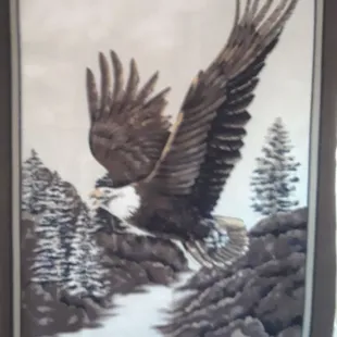 Eagle fleece throw blanket