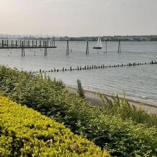 Beautiful river view ( although often through cyclone fencing).