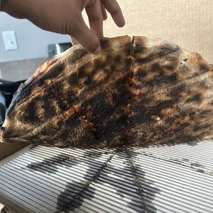Burnt pizza crust