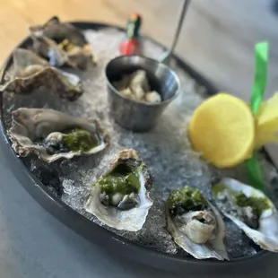 Oysters