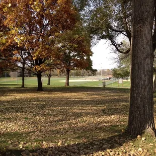 Looking at the basked on hole 9.