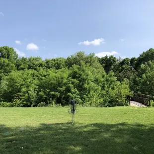 Cage, hole 17