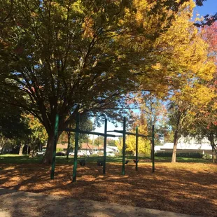 Swing sets.