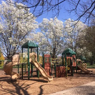Spring 2017 has arrived. :)