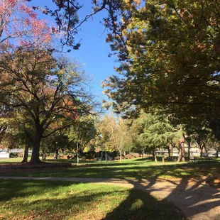 Green grass all around.