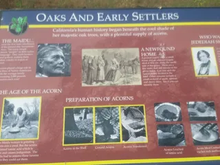 Natomas Oaks Park