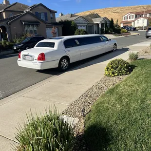 White Limo