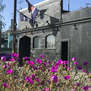 SF Eagle Entrance from Eagle Plaza