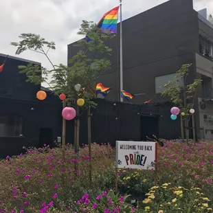 SF Eagle from Eagle Plaza