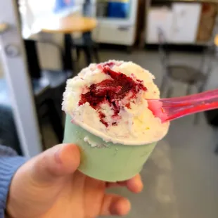 a hand holding a cup of gelato