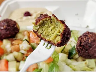 Pita Gyros