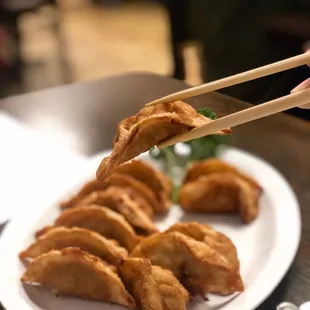 Deep fried pork and veggie dumplings
