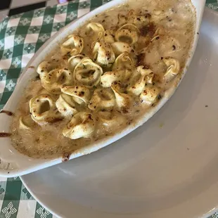 Beef tortellini with Alfredo sauce