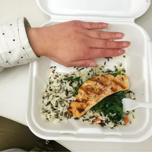 Small lunch portion (hand to scale, rice spread out), I was still hungry after (and sad)