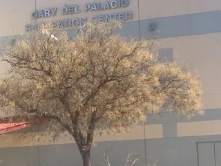 Gary Del Palacio Recreation Center