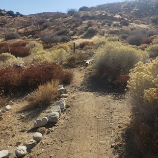 When you leave the aqueduct portion of the trail you'll see this on the right to continue the trail and start your climb