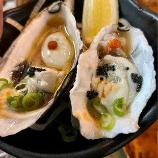 Fresh oysters