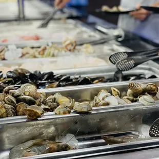 shellfish, oysters, mussels, food, oysters and mussels