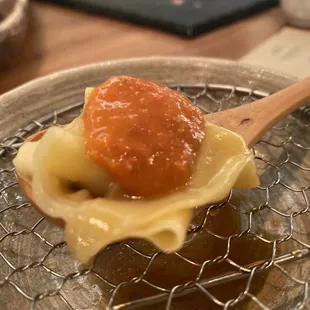 Mozzarella Wonton