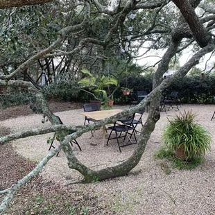 a table and chairs under a tree
