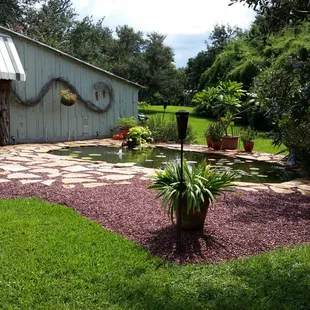 Pond