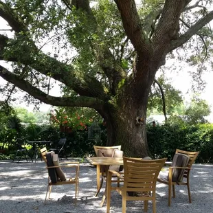 A must destination for lunch. Large shade tree dining in back under a humongous oak.