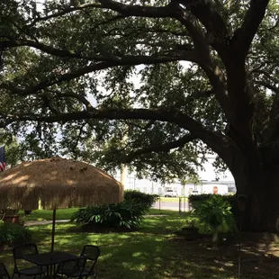 Great spot to have lunch!