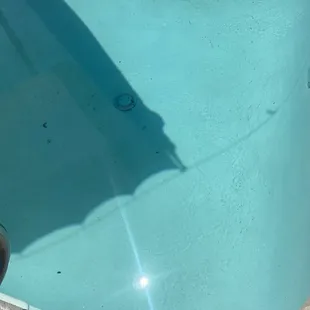 Pool was ALWAYS disgusting