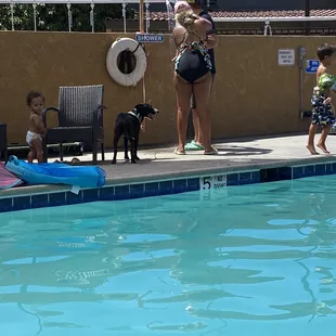 Dog in the pool area urinated so owners ran the shower to try &amp; remove the pee