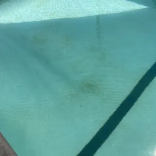 Again pool always gross and unsanitary