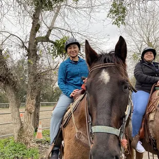 The Horses were very friendly.