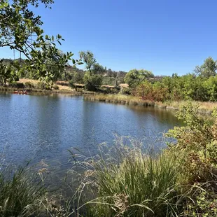 Nice view of the lake