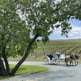 Horse-drawn carriage ride on Mother's Day.