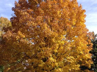 New Richmond Golf Club