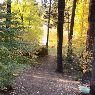 Short walk way to the dock from the cabin.....view from cabin just awesome