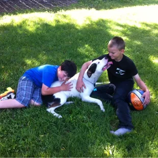 Too much fun in a great open field