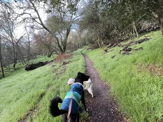 Del Paso Regional Park