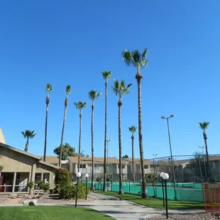 Love where you live!