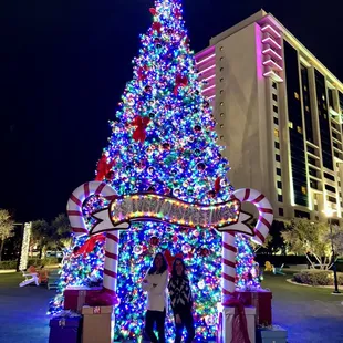The beautiful Silverton Christmas Tree