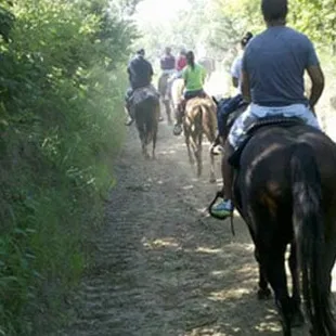 Horseback Riding Omaha/ Council Bluffs