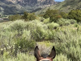 Brooks Quarter Horse Ranch