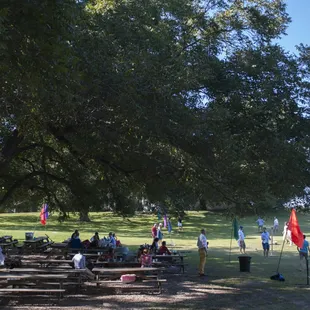 A shot of the lovely shaded pecan tree area