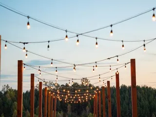 Mountain Brook Vineyards