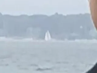 Jason Domingues Photography