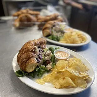 Chicken Salad sandwich Special