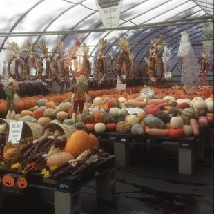 Our pumpkin season display