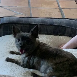 After!  Transformed and happy girl!